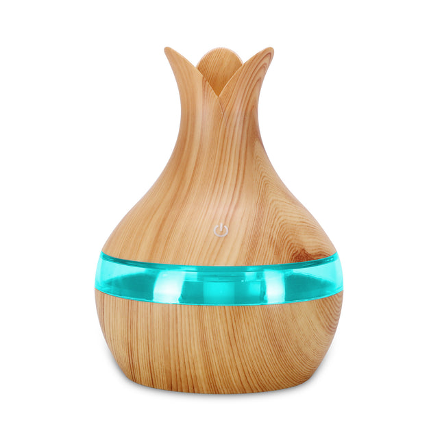 Humidificador Mini Translúcido de Escritorio con USB